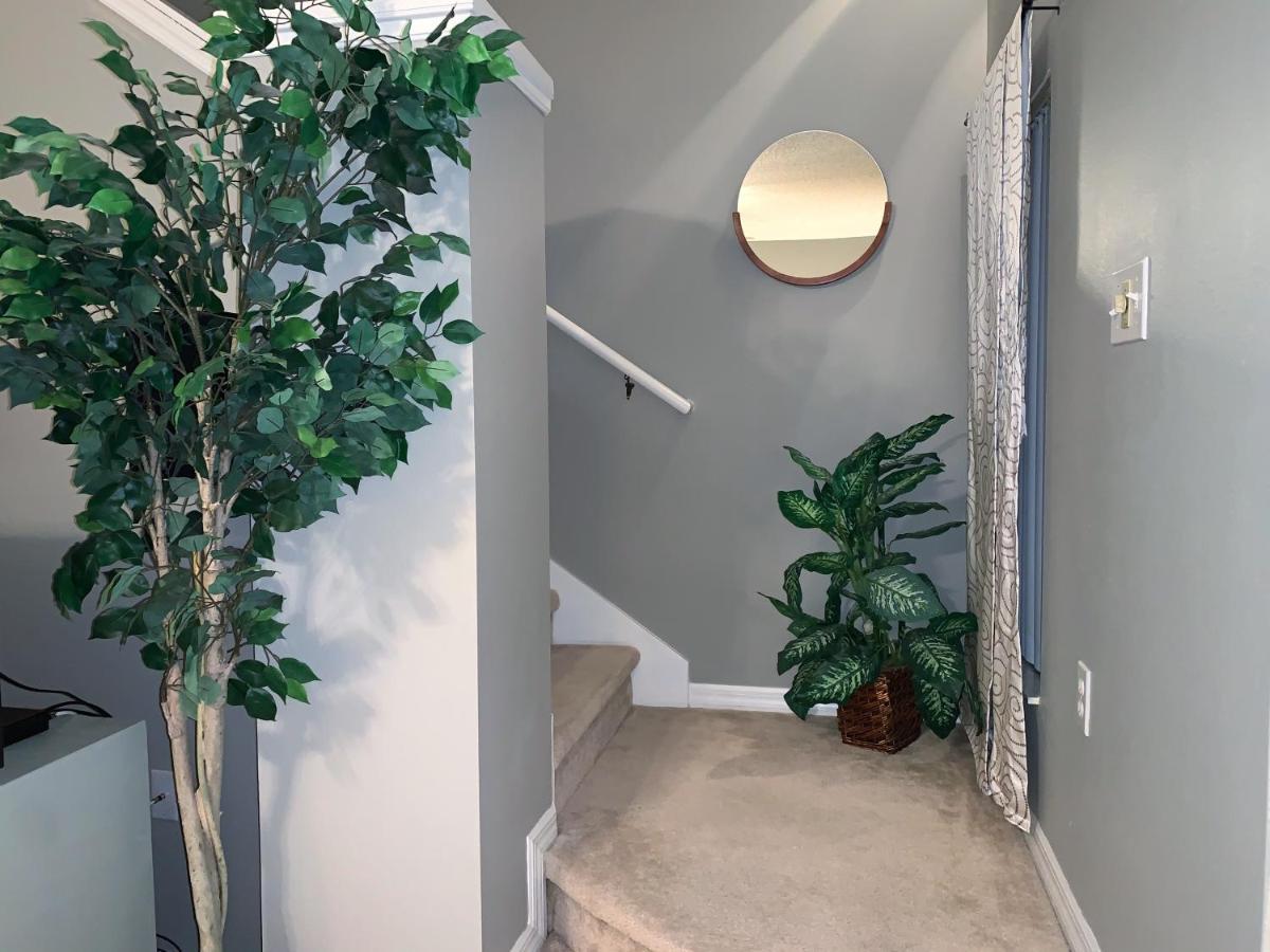 Terra Verde Vacation Rentals Kissimmee Ngoại thất bức ảnh